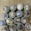 유케이성형외과의원 이미지