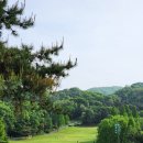 공도바른약국 | 골프 갈비뼈 통증 줄인 확실한 회복 방법