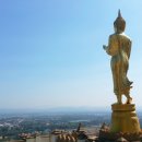 노이민박 이미지