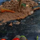 영광고추특화시장 이미지