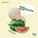 (주)와와컴파니 | 38주차 임산부 일상 • 첫 내진 후기 • 벚꽃놀이 • 아키와와 • 오끼뜨 홈러버 티셔츠