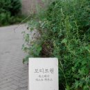 파주스테이 이미지