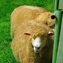 청암목장 이미지