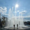 곡성 섬진강 기차마을 이미지