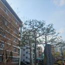 딸기마을 | 전주 한옥마을 카페 후기｜아인슈페너와 딸기 커스터드 푸딩 맛집