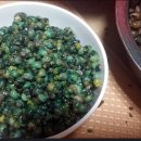 다슬기 반딧불이 이미지