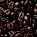 커피 바리스타 2급(야간) 이미지