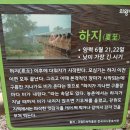 바라 이미지
