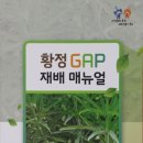 황정