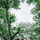 나무별 - 순천시 장천4길 10 | 나무별