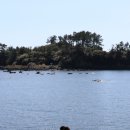 법환마을회관 이미지