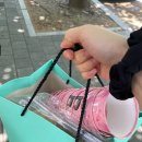 다도화