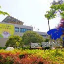 파평도서관 이미지
