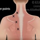 새터 한의원 이미지