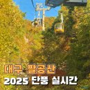 팔공산케이블카 | 대구 팔공산 단풍 실시간 팔공산 케이블카 주말 단체 후기