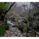 불광1-041 | 계룡산 갑사 가는길