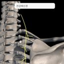 연춘당한의원 이미지
