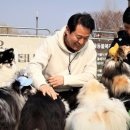 서울동물복지지원센터 동대문 동물병원 이미지