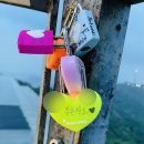 호랭이카 이미지