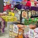 프리마약국 | 코타키나발루 쇼핑몰 추천 &amp; 여행 기념품 리스트, 필수 쇼핑 루트 공개