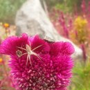 솔내음과 물소리 이미지