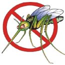 메디사랑약국 이미지