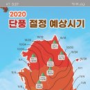 2020년 단풍시기 이미지