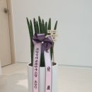 생글한의원 이미지