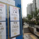 세무법인석성지사