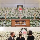 강수연 의원 데일리안