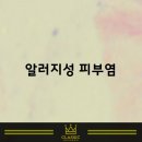 일산 클래식 동물병원 이미지