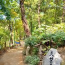 도봉-도봉-2057 이미지