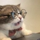 새얀안과의원 이미지