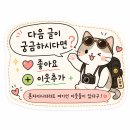 창조마트 | [여자혼자 이집트여행] 피라미드 오픈런 후기 | 투어 없이 자유여행