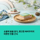 봄을담다 이미지