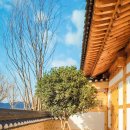 테라뷰 | 경주 황리단길 카페 테라로사 경주점 대형 한옥 뷰맛집 솔직후기 주차 웨이팅 꿀팁