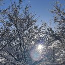 양재천근린공원 이미지