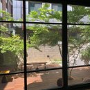 서촌초등학교 - 시흥시 | 테라스가 이쁜 서촌 경복궁역 신상 대형 카페 본지르르 베이커리 서촌점 내돈내산