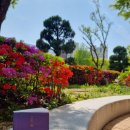 영은세탁소 이미지