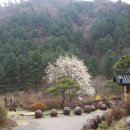 산천초목 이미지