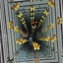 황금박쥐생태관 옆 이미지