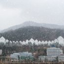 조선대학교 이미지