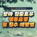 국가대표 마스터 태권도장 이미지