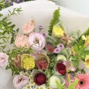 사림동136 이미지