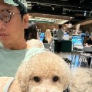 점말농장 이미지