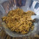 정성잇개 이미지