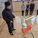 김제중앙중학교 티스토리