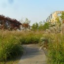 한내근린공원 이미지