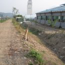 동면게이트볼장 이미지