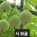 오직 너를 위한 글/최정은 이미지